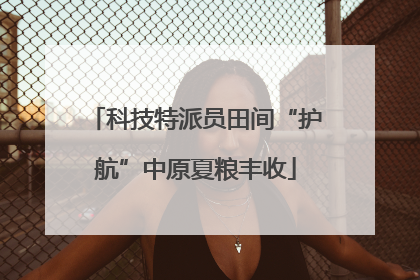 科技特派员田间“护航”中原夏粮丰收