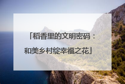 稻香里的文明密码：和美乡村绽幸福之花