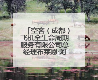 空客（成都）飞机全生命周期服务有限公司总经理布莱恩·阿格纽：成都航空产业生态完备，营商环境优势显著
