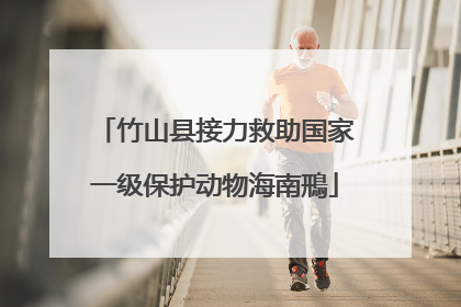 竹山县接力救助国家一级保护动物海南鳽