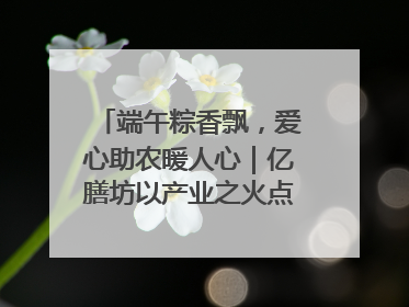 端午粽香飘，爱心助农暖人心｜亿膳坊以产业之火点亮乡村振兴路
