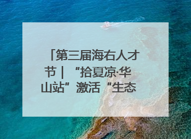 第三届海右人才节｜“拾夏凉·华山站”激活“生态聚才”强磁场