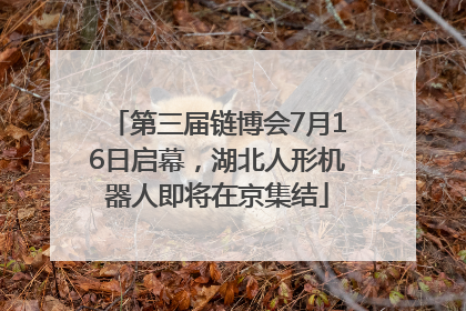 第三届链博会7月16日启幕，湖北人形机器人即将在京集结