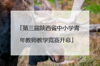 第三届陕西省中小学青年教师教学竞赛开幕