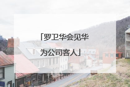 罗卫华会见华为公司客人