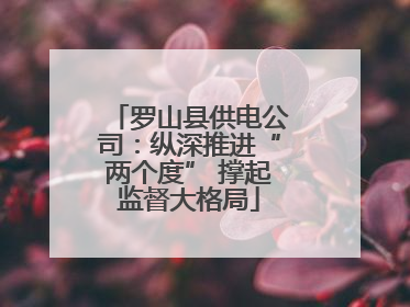 罗山县供电公司：纵深推进“两个度” 撑起监督大格局