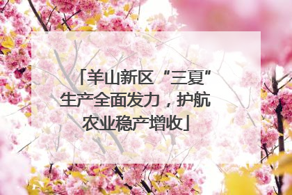 羊山新区“三夏”生产全面发力，护航农业稳产增收