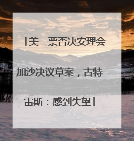 美一票否决安理会加沙决议草案，古特雷斯：感到失望