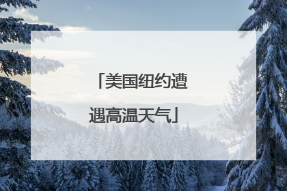 美国纽约遭遇高温天气