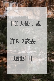 美大使：或许B-2该去趟也门