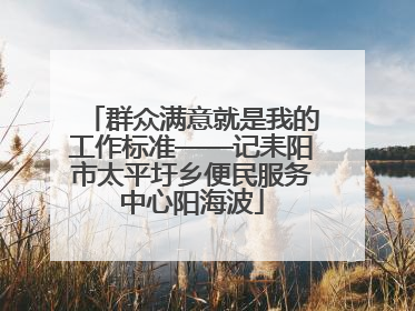 群众满意就是我的工作标准——记耒阳市太平圩乡便民服务中心阳海波