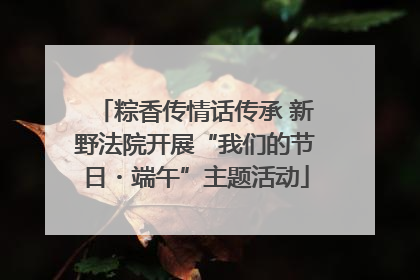 粽香传情话传承 新野法院开展“我们的节日・端午”主题活动