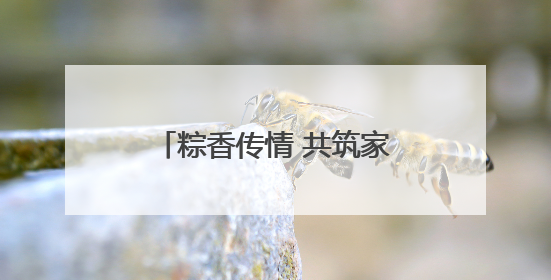 粽香传情 共筑家园，诸暨陶朱街道开展端午节系列活动