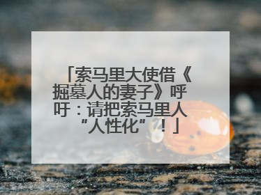 索马里大使借《掘墓人的妻子》呼吁：请把索马里人“人性化”！