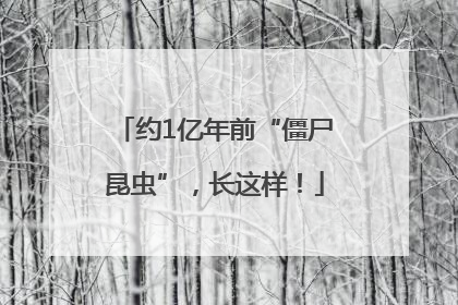 约1亿年前“僵尸昆虫”，长这样！