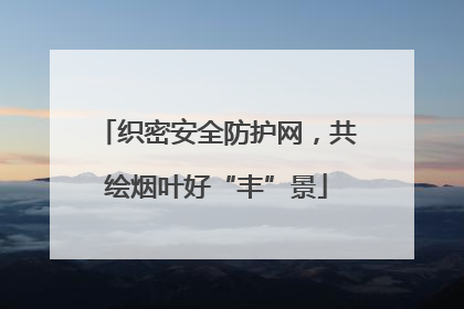 织密安全防护网，共绘烟叶好“丰”景