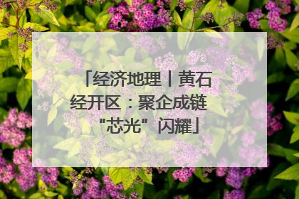 经济地理丨黄石经开区：聚企成链“芯光”闪耀