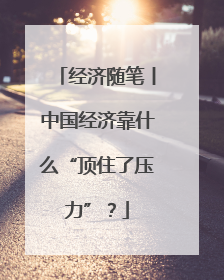 经济随笔丨中国经济靠什么“顶住了压力”？