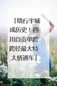 绕行半城成历史！四川自贡单跨跨径最大特大桥通车