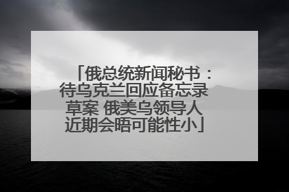 俄总统新闻秘书：待乌克兰回应备忘录草案 俄美乌领导人近期会晤可能性小