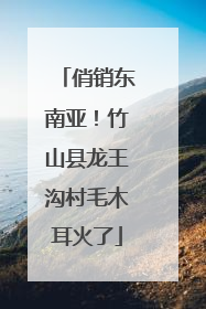 俏销东南亚！竹山县龙王沟村毛木耳火了