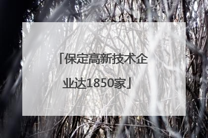 保定高新技术企业达1850家