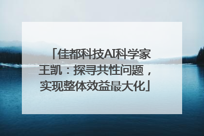 佳都科技AI科学家王凯：探寻共性问题，实现整体效益最大化