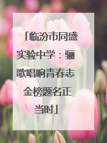 临汾市同盛实验中学：骊歌唱响青春志 金榜题名正当时