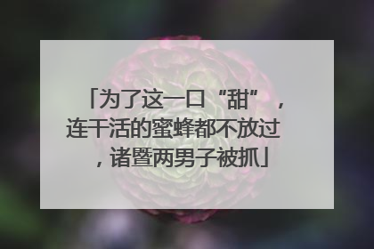 为了这一口“甜”，连干活的蜜蜂都不放过，诸暨两男子被抓