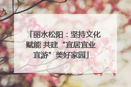 丽水松阳：坚持文化赋能 共建“宜居宜业宜游”美好家园
