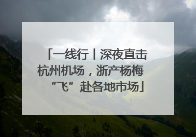一线行丨深夜直击杭州机场，浙产杨梅“飞”赴各地市场