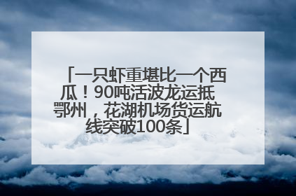 一只虾重堪比一个西瓜！90吨活波龙运抵鄂州，花湖机场货运航线突破100条