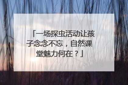 一场探虫活动让孩子念念不忘，自然课堂魅力何在？