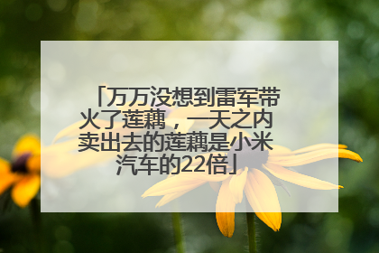 万万没想到雷军带火了莲藕，一天之内卖出去的莲藕是小米汽车的22倍