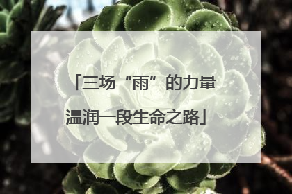 三场“雨”的力量温润一段生命之路