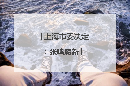 上海市委决定：张鸣履新