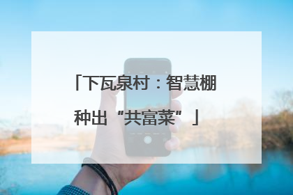 下瓦泉村：智慧棚种出“共富菜”