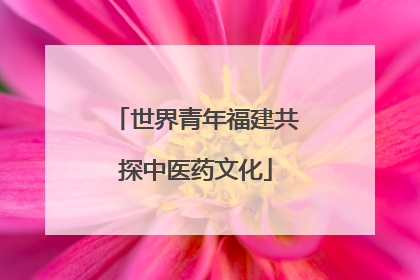世界青年福建共探中医药文化