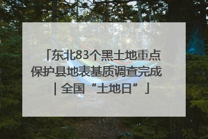 东北83个黑土地重点保护县地表基质调查完成｜全国“土地日”