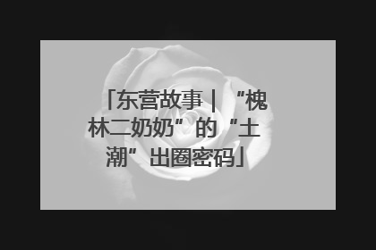 东营故事｜“槐林二奶奶”的“土潮”出圈密码