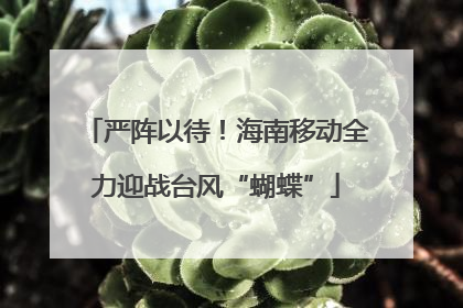 严阵以待！海南移动全力迎战台风“蝴蝶”