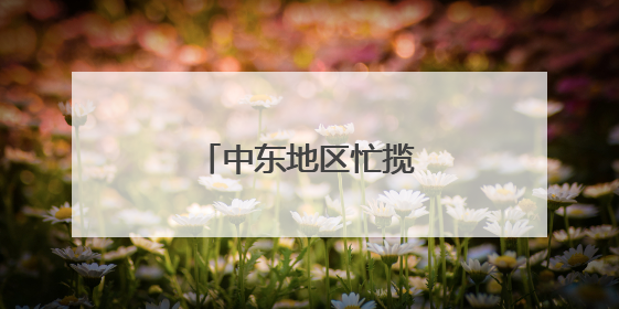 中东地区忙揽中国出境游客