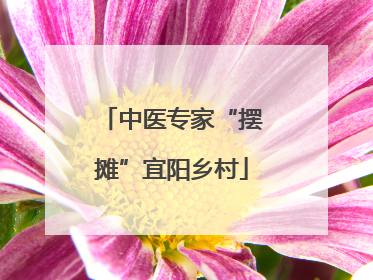 中医专家“摆摊”宜阳乡村