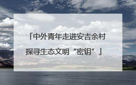 中外青年走进安吉余村探寻生态文明“密钥”
