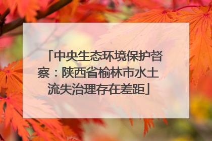 中央生态环境保护督察：陕西省榆林市水土流失治理存在差距