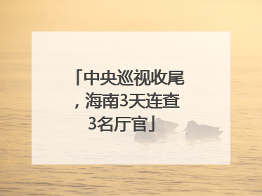 中央巡视收尾，海南3天连查3名厅官