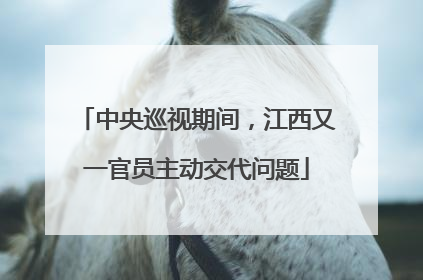 中央巡视期间，江西又一官员主动交代问题