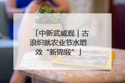 中新武威观｜古浪织就农业节水增效“新锦缎”