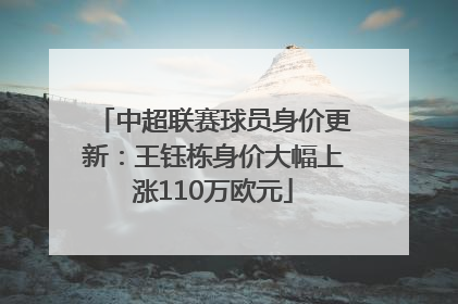 中超联赛球员身价更新：王钰栋身价大幅上涨110万欧元