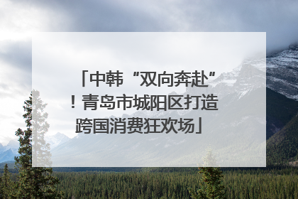 中韩“双向奔赴”！青岛市城阳区打造跨国消费狂欢场